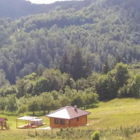 Bed and Breakfast Turizam Koturovic Ivanjica Exterior foto