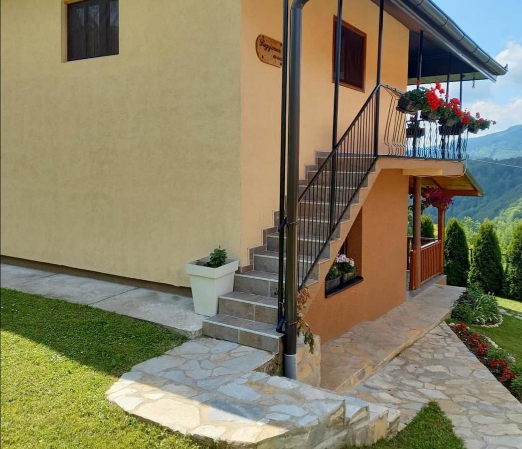 Bed and Breakfast Turizam Koturovic Ivanjica Exterior foto