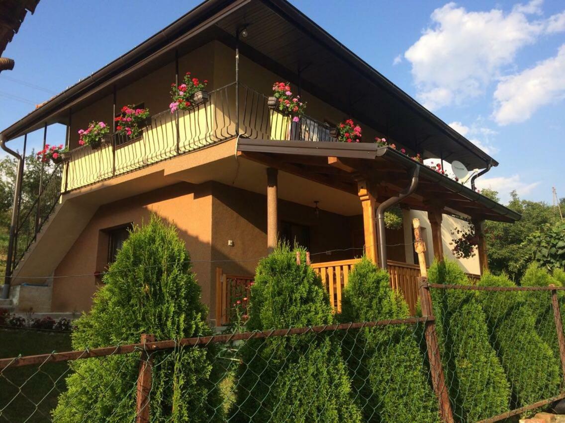 Bed and Breakfast Turizam Koturovic Ivanjica Exterior foto